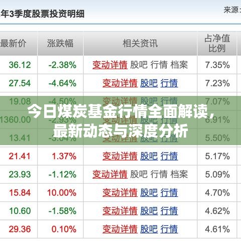 今日煤炭基金行情全面解读，最新动态与深度分析
