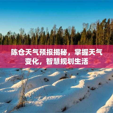 陈仓天气预报揭秘，掌握天气变化，智慧规划生活