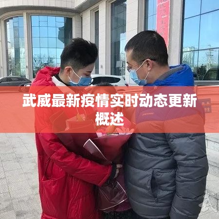 武威最新疫情实时动态更新概述