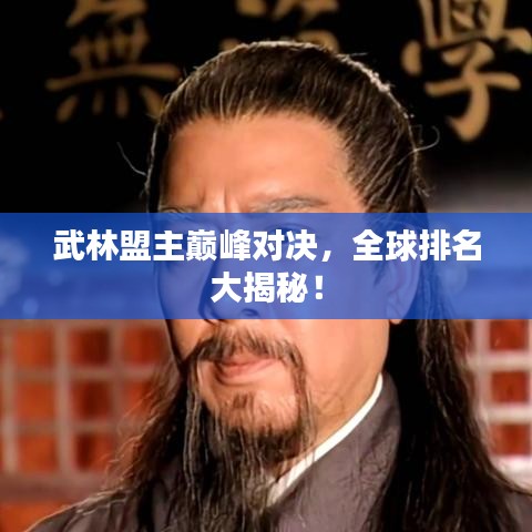 武林盟主巅峰对决，全球排名大揭秘！
