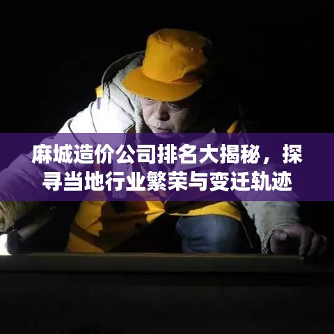 麻城造价公司排名大揭秘，探寻当地行业繁荣与变迁轨迹