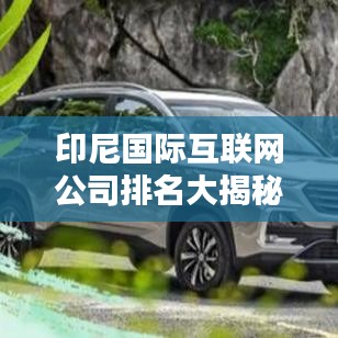 印尼国际互联网公司排名大揭秘，你不知道的巨头榜单！