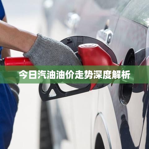 今日汽油油价走势深度解析