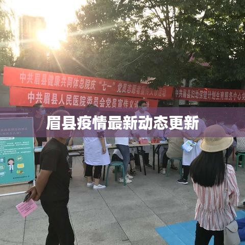 眉县疫情最新动态更新