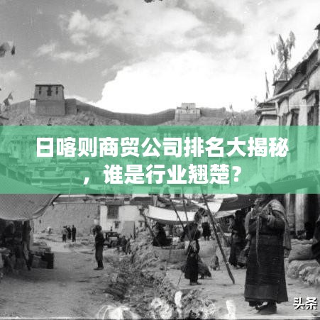日喀则商贸公司排名大揭秘，谁是行业翘楚？