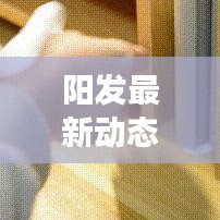 阳发最新动态揭秘，今日发展消息及行业影响分析