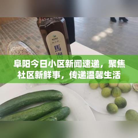 阜阳今日小区新闻速递，聚焦社区新鲜事，传递温馨生活
