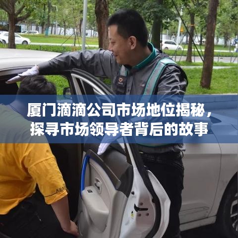 厦门滴滴公司市场地位揭秘，探寻市场领导者背后的故事