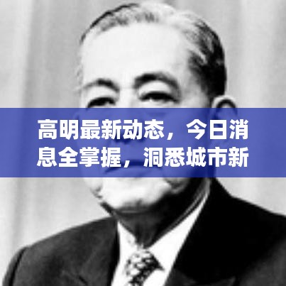 高明最新动态，今日消息全掌握，洞悉城市新发展