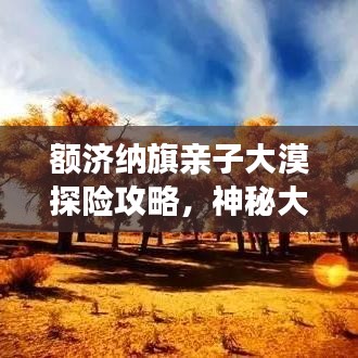 额济纳旗亲子大漠探险攻略，神秘大漠之美等你来探秘！