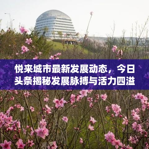 悦来城市最新发展动态，今日头条揭秘发展脉搏与活力四溢的今日动态