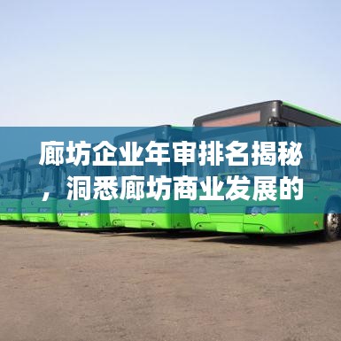 廊坊企业年审排名揭秘，洞悉廊坊商业发展的核心脉搏