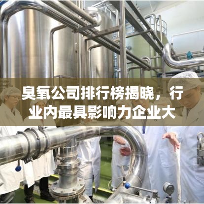臭氧公司排行榜揭晓，行业内最具影响力企业大揭秘