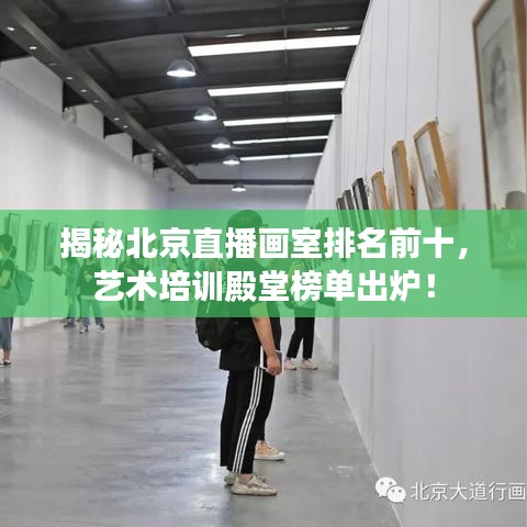 揭秘北京直播画室排名前十，艺术培训殿堂榜单出炉！