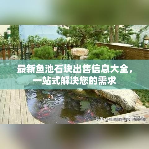 最新鱼池石块出售信息大全，一站式解决您的需求