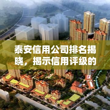 泰安信用公司排名揭晓，揭示信用评级的重要性与影响力