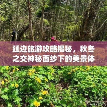 延边旅游攻略揭秘，秋冬之交神秘面纱下的美景体验
