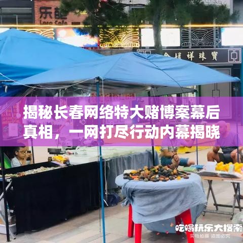揭秘长春网络特大赌博案幕后真相，一网打尽行动内幕揭晓