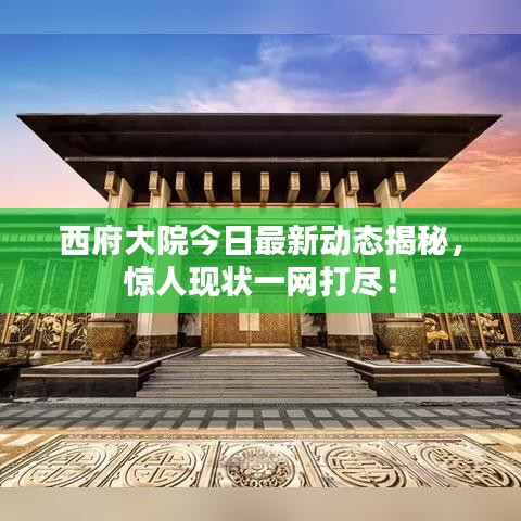 西府大院今日最新动态揭秘，惊人现状一网打尽！
