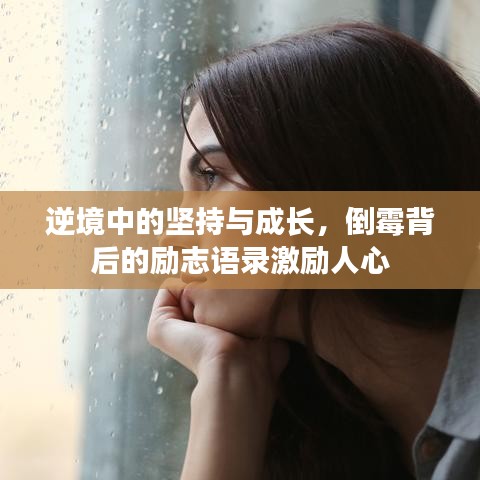 逆境中的坚持与成长，倒霉背后的励志语录激励人心