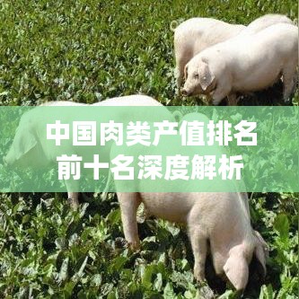 2025年6月7日 第4页