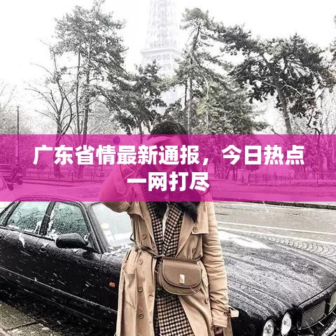 广东省情最新通报，今日热点一网打尽