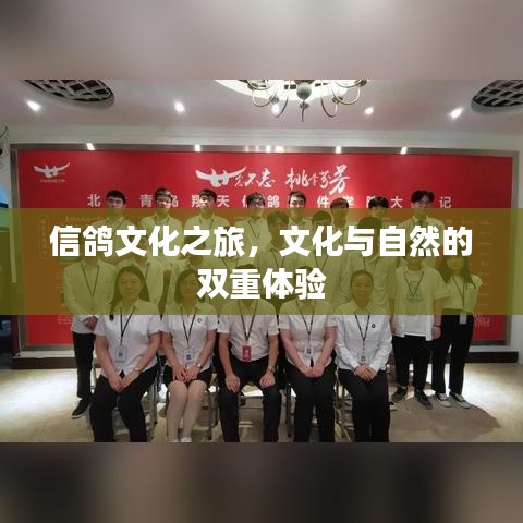 信鸽文化之旅，文化与自然的双重体验
