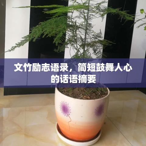 文竹励志语录，简短鼓舞人心的话语摘要