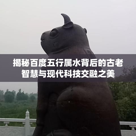 揭秘百度五行属水背后的古老智慧与现代科技交融之美