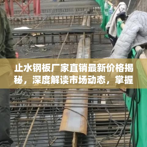 2025年6月8日 第46页