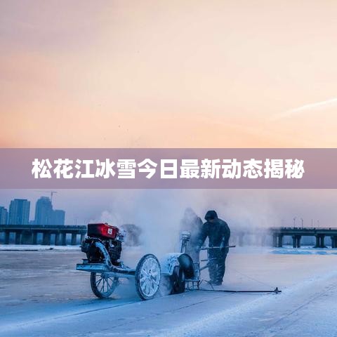 松花江冰雪今日最新动态揭秘