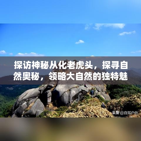 探访神秘从化老虎头，探寻自然奥秘，领略大自然的独特魅力