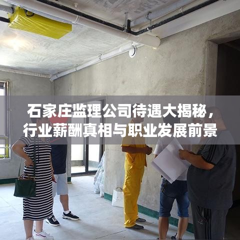 石家庄监理公司待遇大揭秘，行业薪酬真相与职业发展前景深度洞察