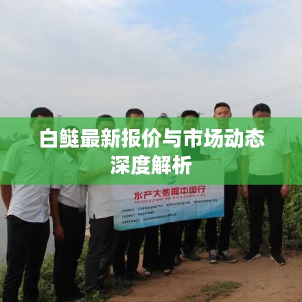 白鲢最新报价与市场动态深度解析