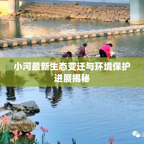 小河最新生态变迁与环境保护进展揭秘