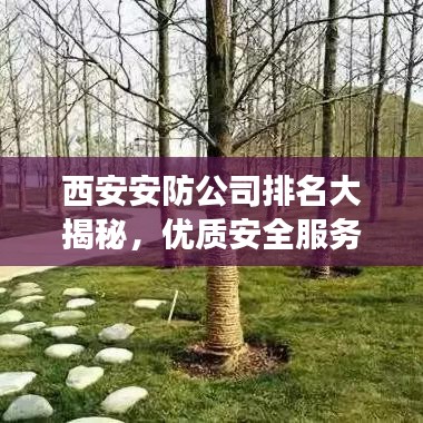 西安安防公司排名大揭秘，优质安全服务榜单，护航您的安全之旅！