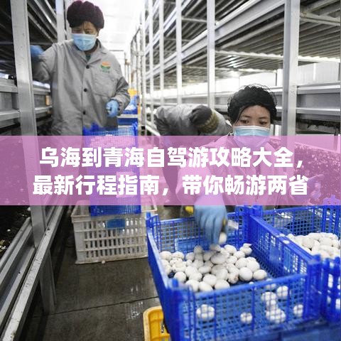 乌海到青海自驾游攻略大全，最新行程指南，带你畅游两省美景！
