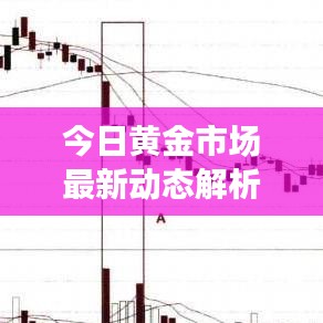 今日黄金市场最新动态解析，黄金均线消息一览，洞悉市场趋势的黄金投资指南