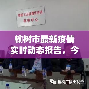 榆树市最新疫情实时动态报告，今日最新情况分析