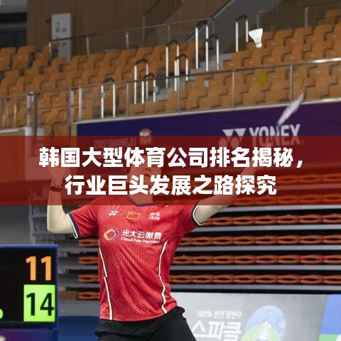 韩国大型体育公司排名揭秘，行业巨头发展之路探究