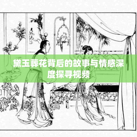 黛玉葬花背后的故事与情感深度探寻视频
