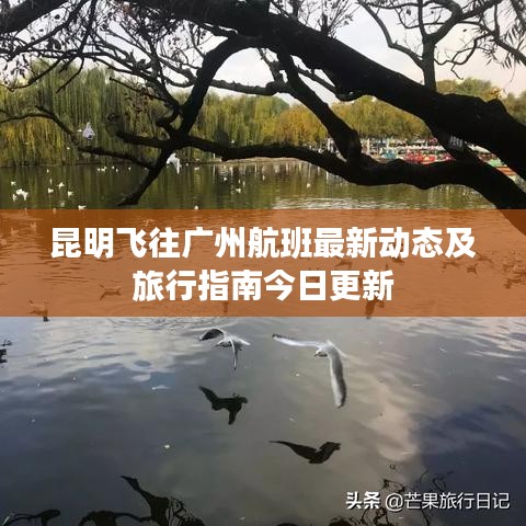 昆明飞往广州航班最新动态及旅行指南今日更新