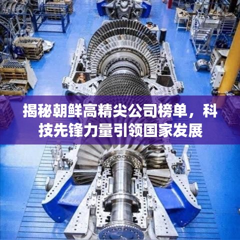 揭秘朝鲜高精尖公司榜单，科技先锋力量引领国家发展