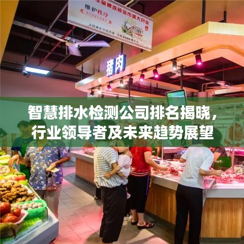 智慧排水检测公司排名揭晓，行业领导者及未来趋势展望