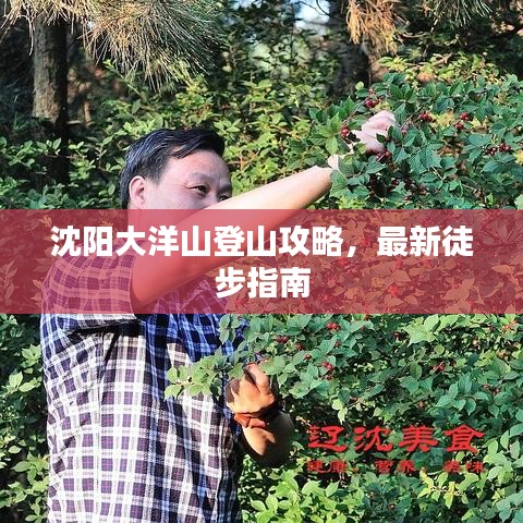 沈阳大洋山登山攻略，最新徒步指南