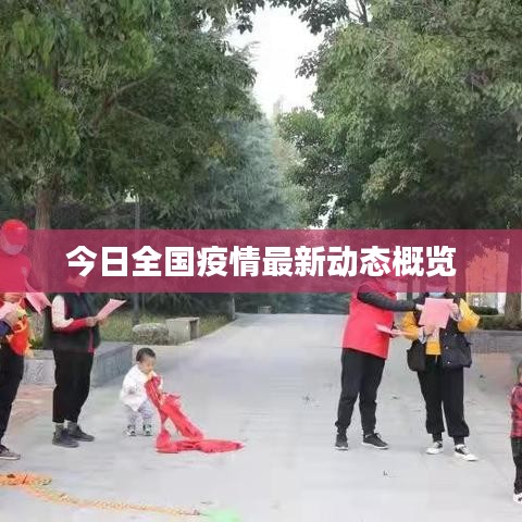 今日全国疫情最新动态概览