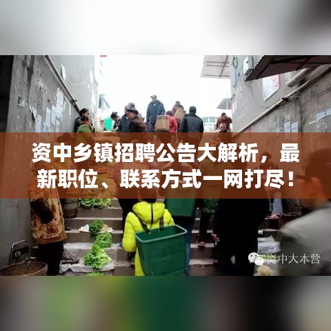 资中乡镇招聘公告大解析，最新职位、联系方式一网打尽！