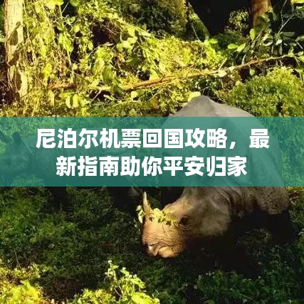 尼泊尔机票回国攻略，最新指南助你平安归家