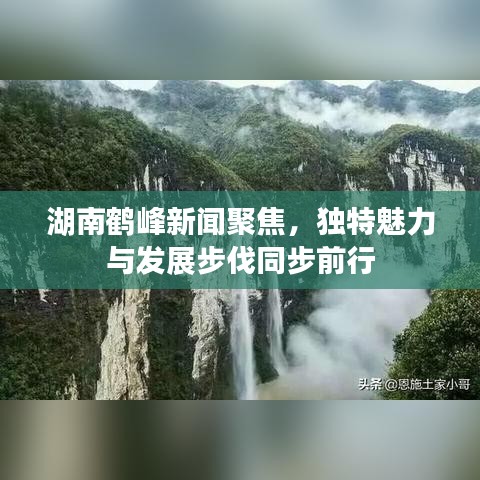 湖南鹤峰新闻聚焦，独特魅力与发展步伐同步前行