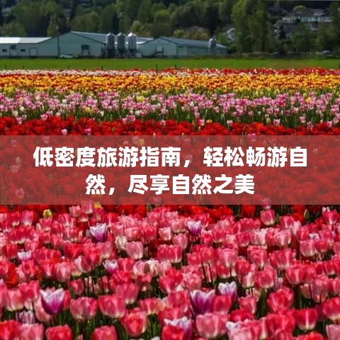 低密度旅游指南，轻松畅游自然，尽享自然之美